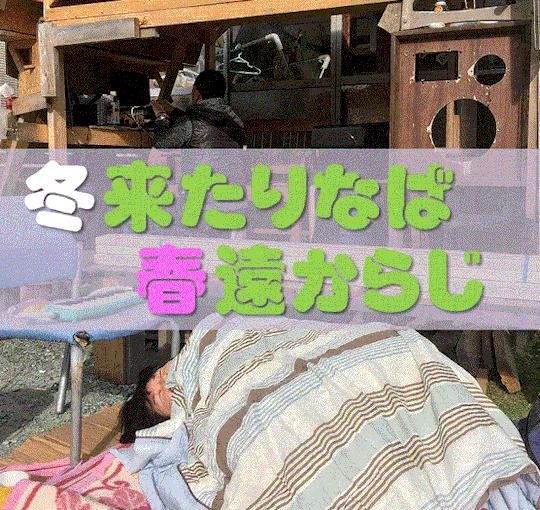 【2/21・22⛄冬来たりなば春遠からじツアー🌸】